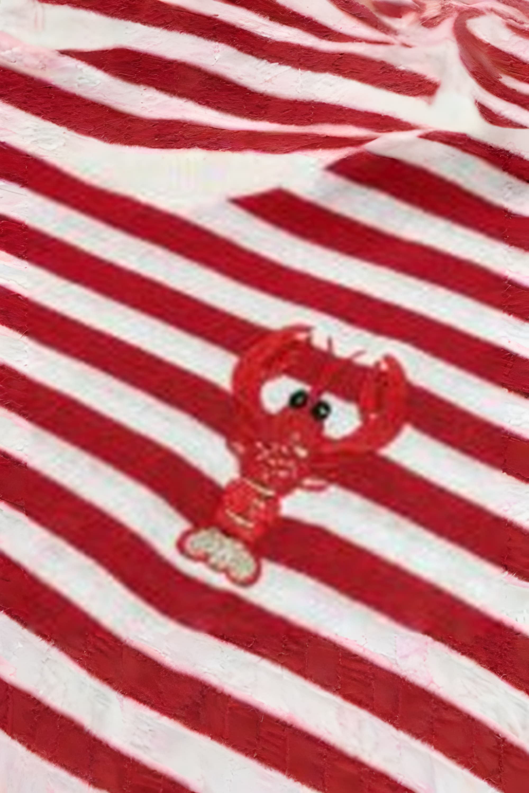 Lobster Matty Tales Kids T-Shirt